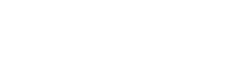 Wordmark Light